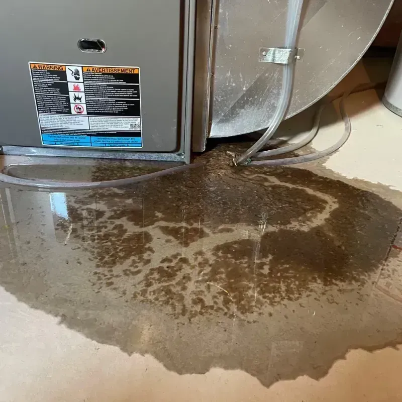 Appliance Leak Cleanup in West Glens Falls, NY